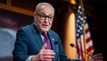 Schumer doubles down on GOP voting bill 'Jim Crow 2.0' despite Democratic voter support - Fox News