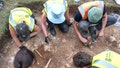 Archaeologists unearth Viking-era 'execution pit' near university town, exposing brutal ancient violence - Fox News
