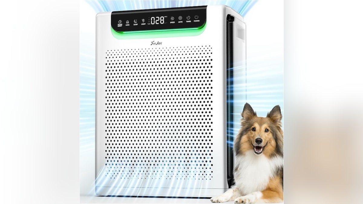 Freshen the air inside your home with a purifier.