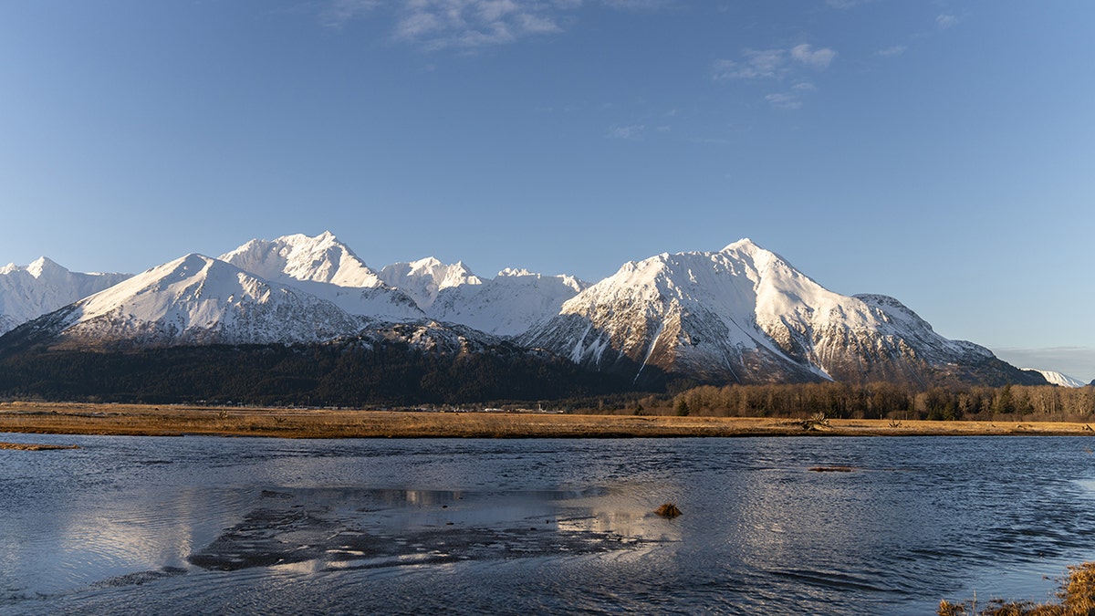 Popular cruise line closes its doors