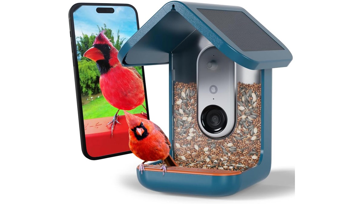 Give them a new way to track backyard bird visitors.