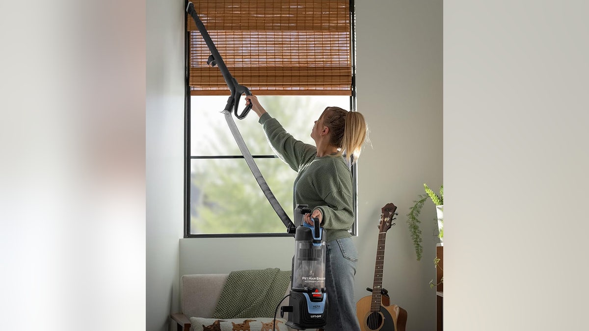 Pick up pet hair, dirt and other messes.