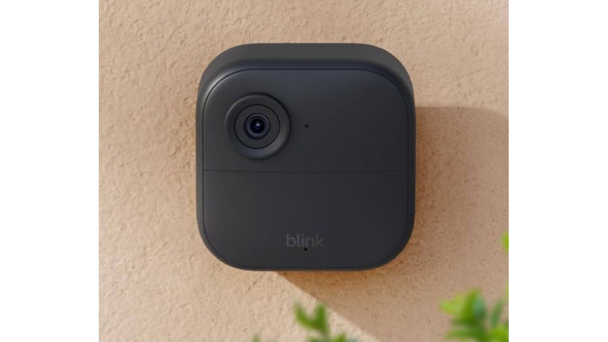 Get alerts as soon as motion is detected in your yard.