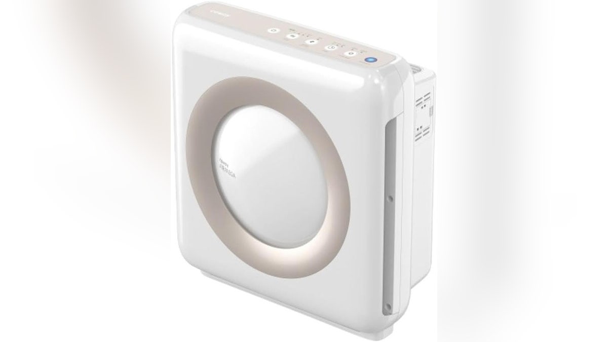This compact purifier clears the air in smaller rooms.