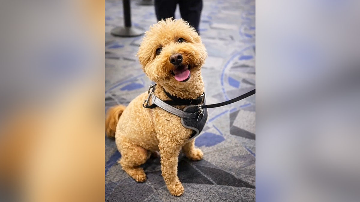 Las Vegas Metropolitan Police Department