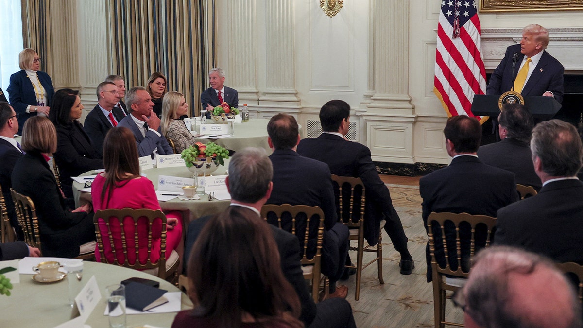 Trump speaks with governors in D.C.