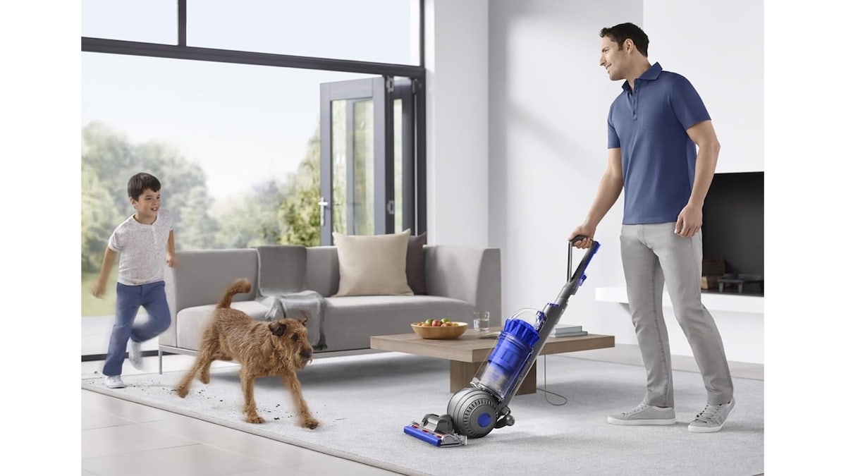 Tackle pet messes with the eight different vacuum accessories.