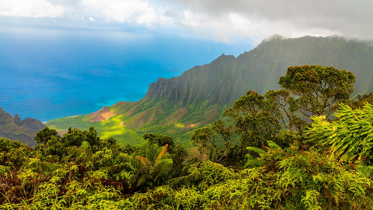 Hawaii island Kauai from a high angle overlooking the geography
