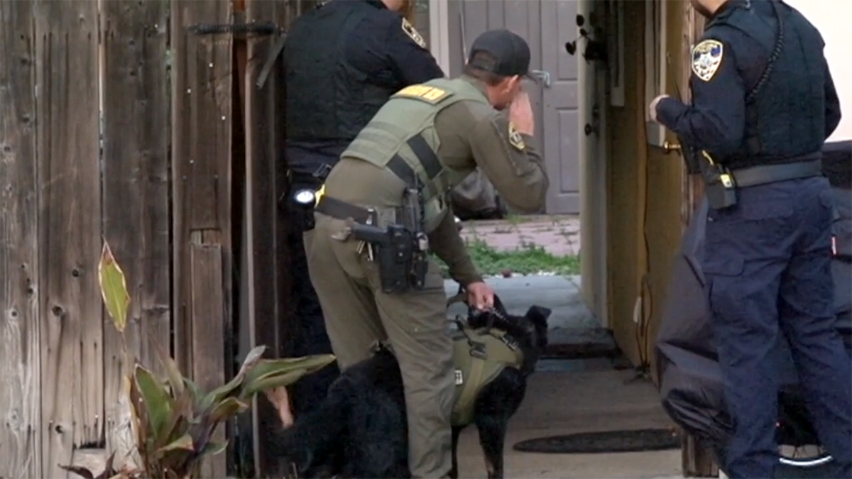 Policja poszukuje podejrzanych po napadzie na sklep jubilerski Petaluma