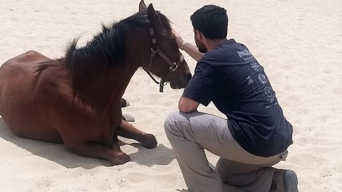 Un veterano israeliano con un cavallo in una sessione di terapia equina assistita