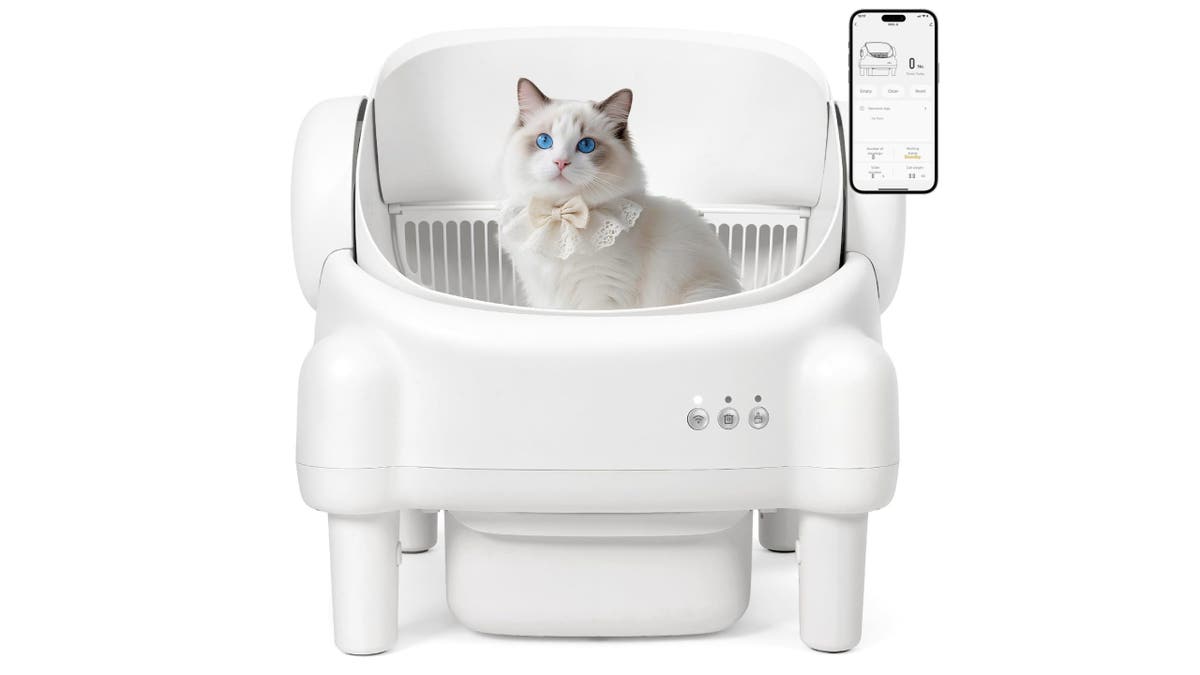 Go up to 15 days without adding litter.