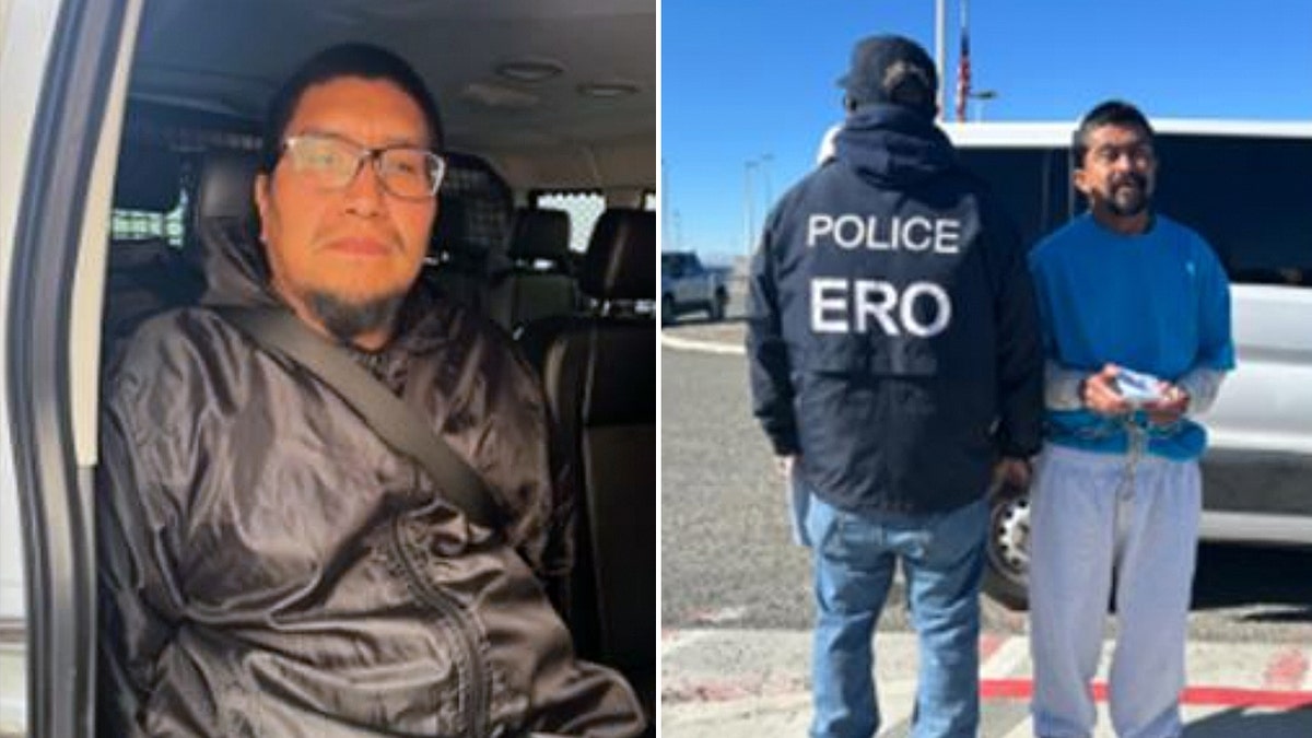 ICE arrestees in Los Angeles