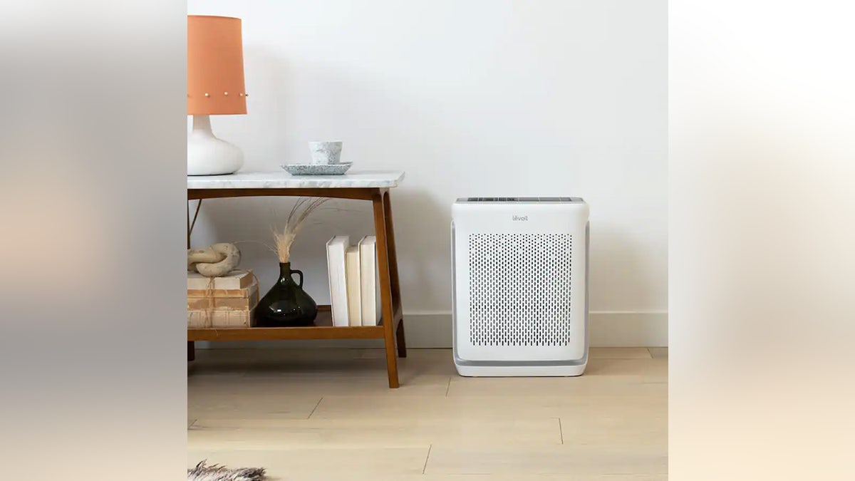 Remove pet hair, fumes, dander and more with this Levoit.