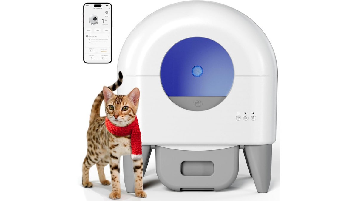 This litter box clears after each use and has safety features to protect your pet.