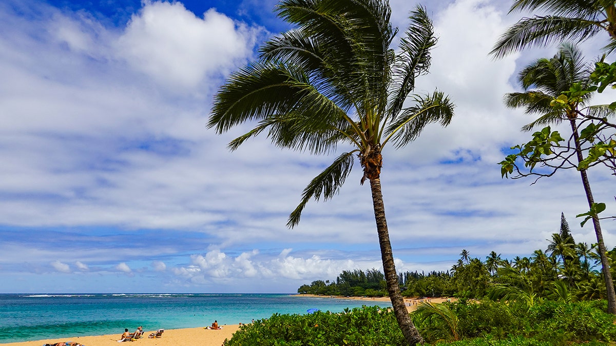 I passeggeri della Emerald Princess non potevano fermarsi a Kauai.