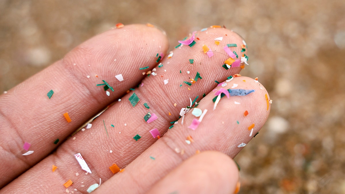 Primo piano laterale delle microplastiche adagiate sulla mano delle persone. Concetto di inquinamento delle acque e riscaldamento globale. Idea del cambiamento climatico. concetto di microplastica negli alimenti, nell'acqua o nel mare