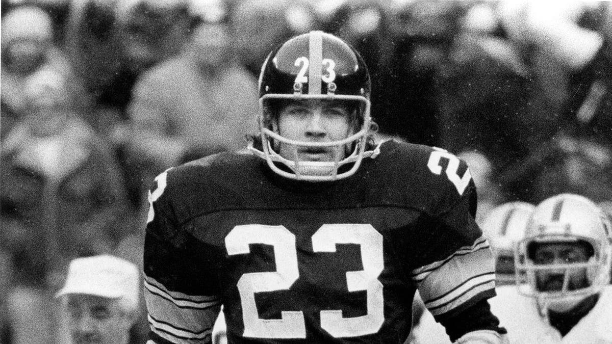 Mike Wagner on field