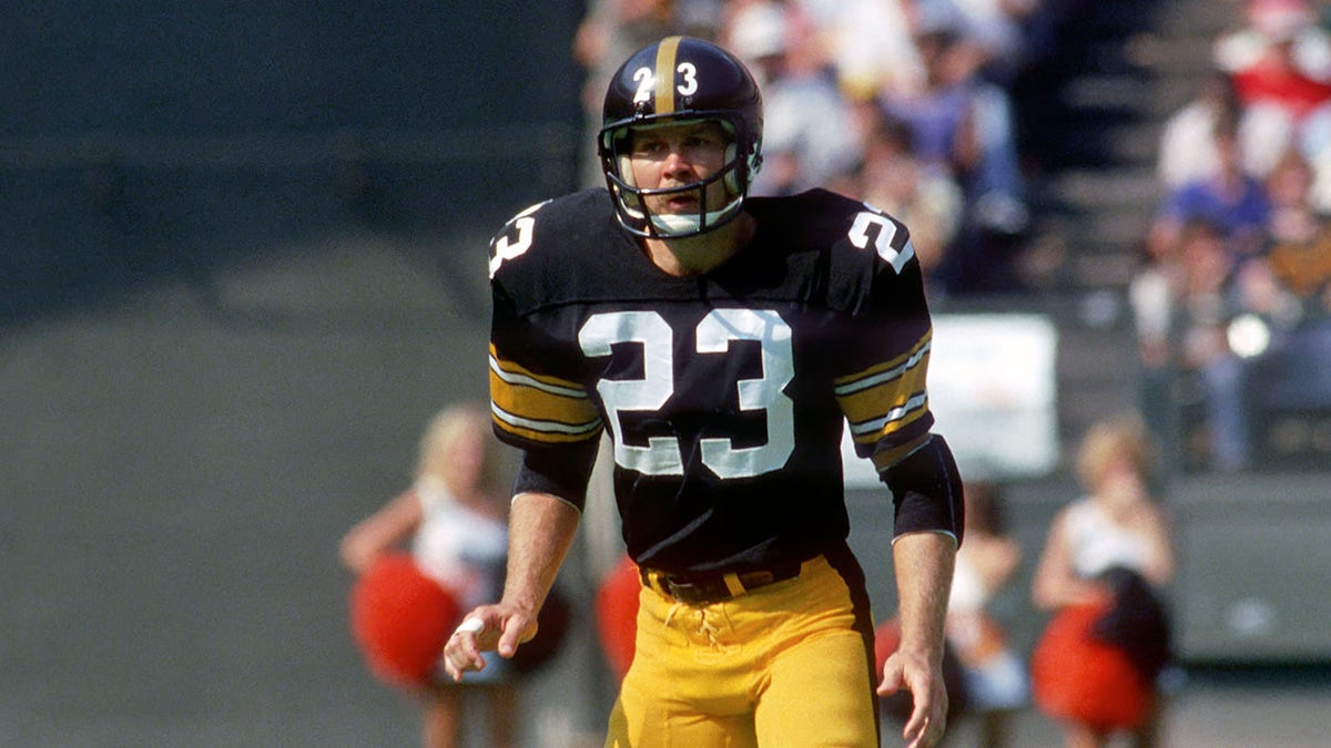 Mike Wagner looks on field