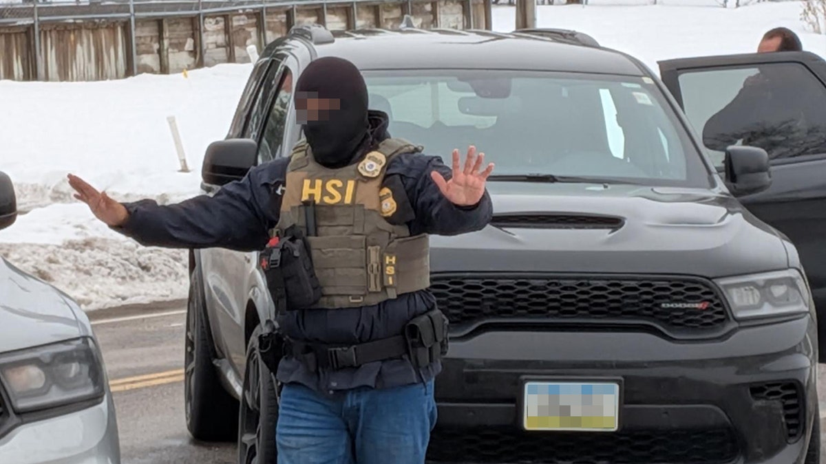 MN ICE Plates database homeland information    investigations