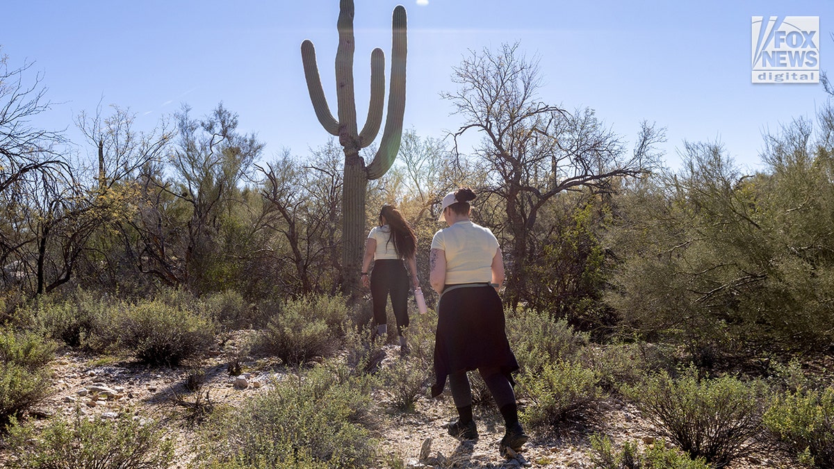 Nancy Guthrie case search volunteers walking through a desert landscape in Tucson, Arizona.