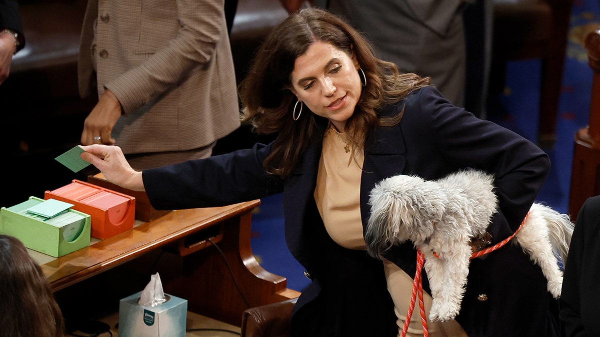 Nancy Mace com o cachorro