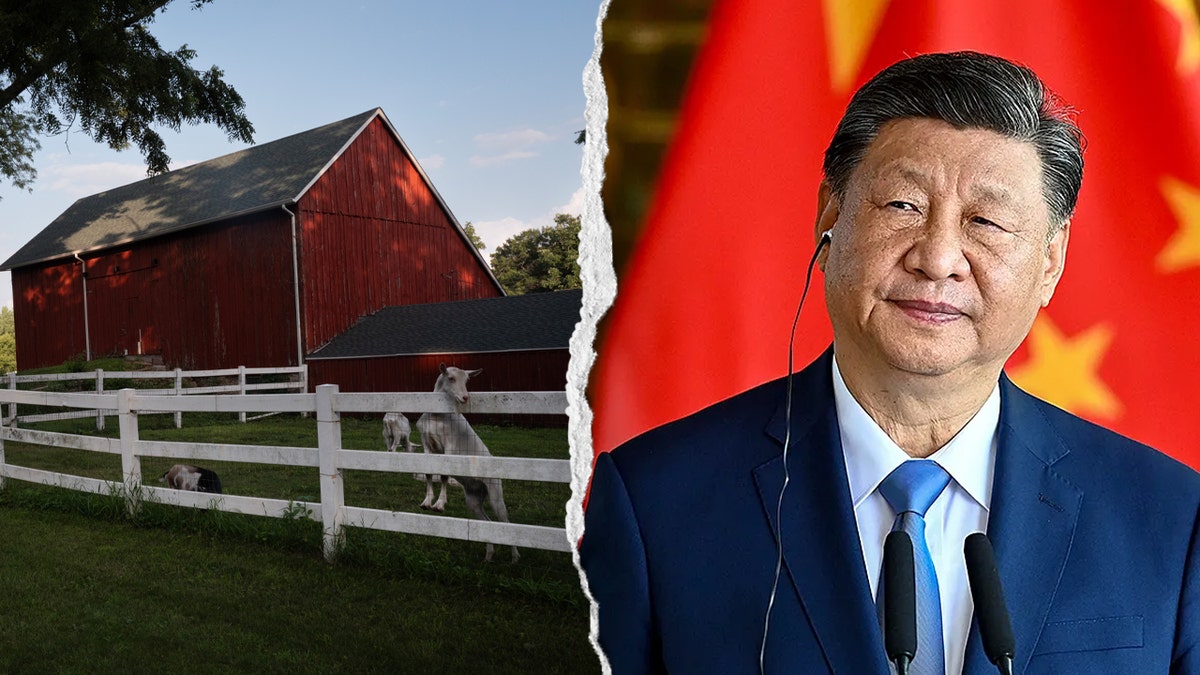 China’s crop-control chokehold puts America’s dinner table in danger