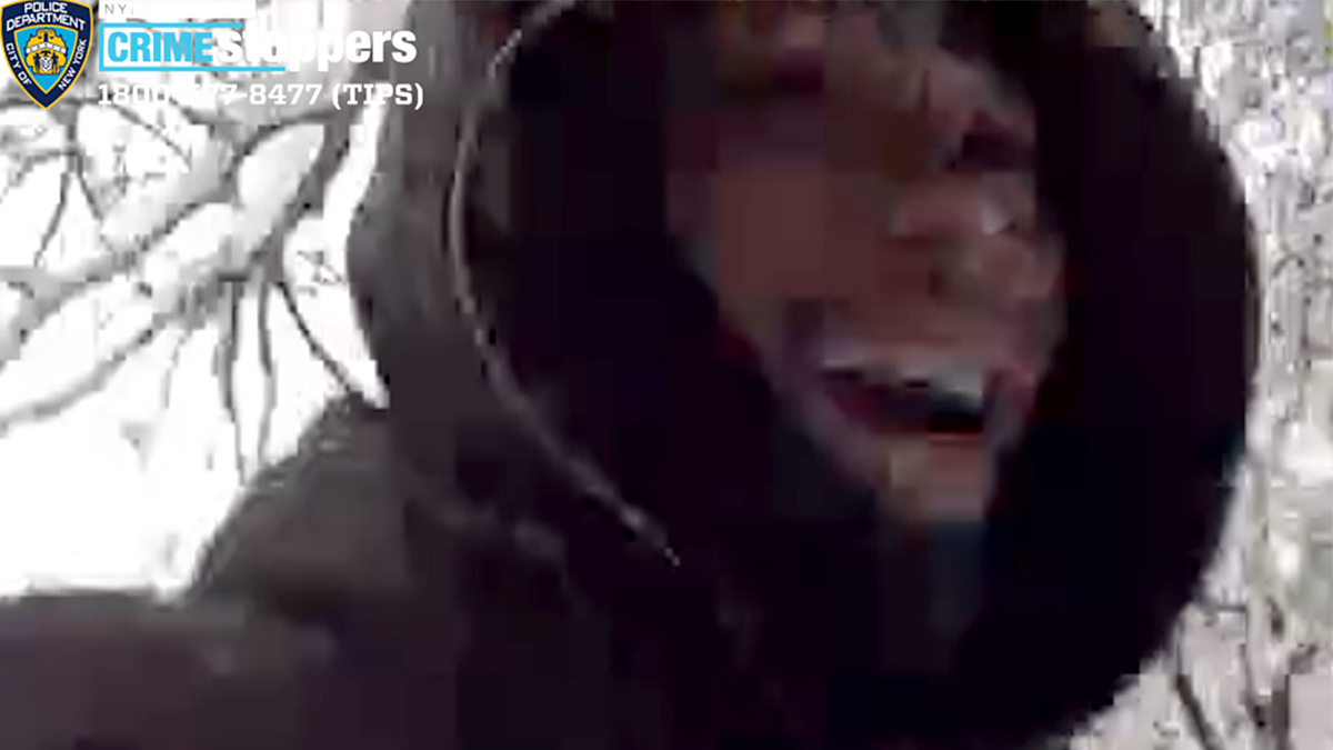 Individual allegedly involved in snowball assault on police