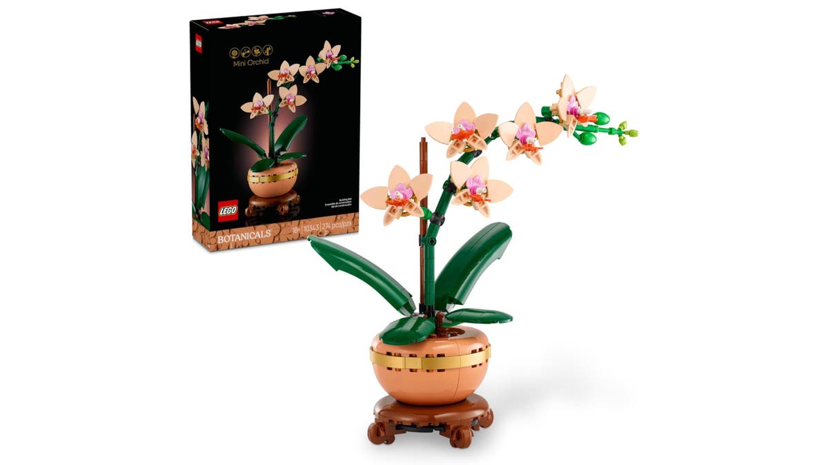 Love flowers but find them impossible to care for? This set is for you.