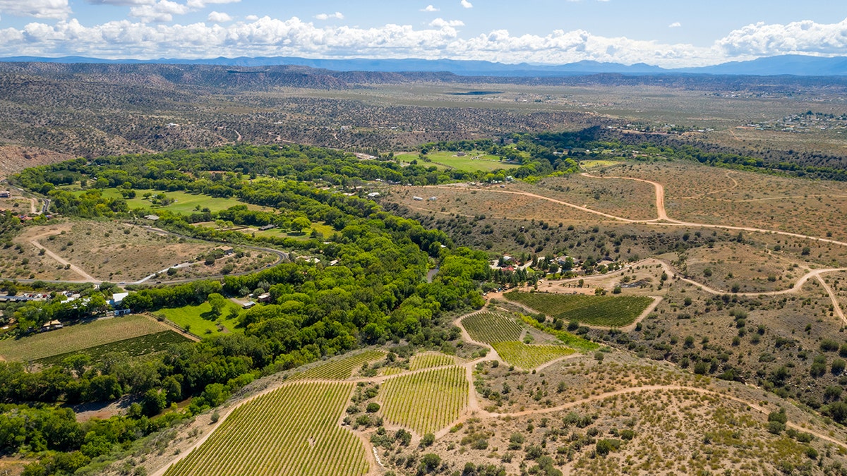 Un'antenna delle cantine e dei vigneti di Page Springs.