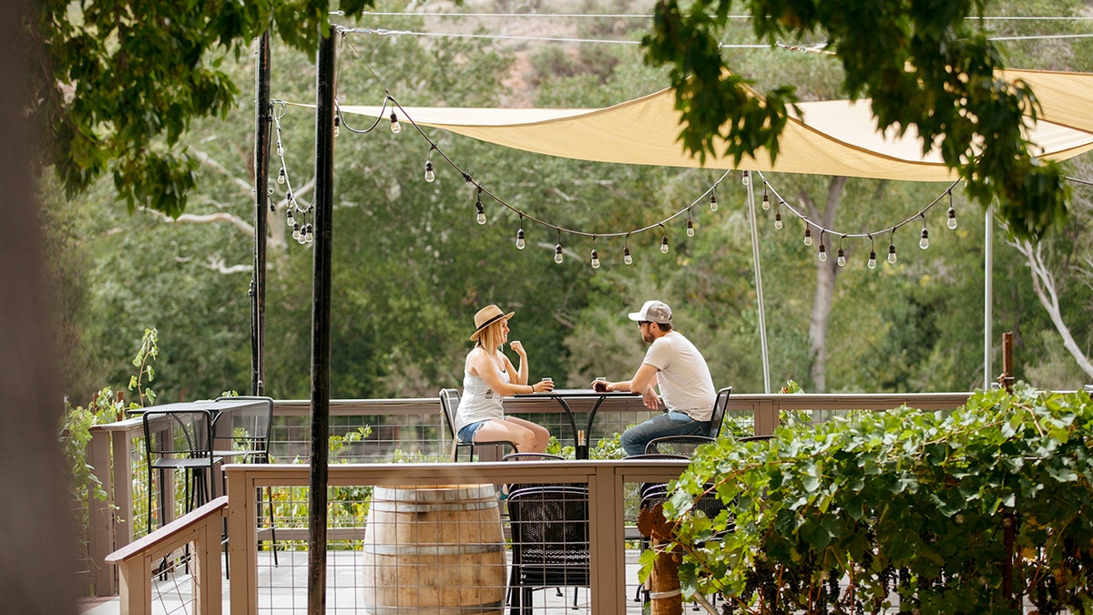 Un uomo e una donna bevono vino in una vigna.