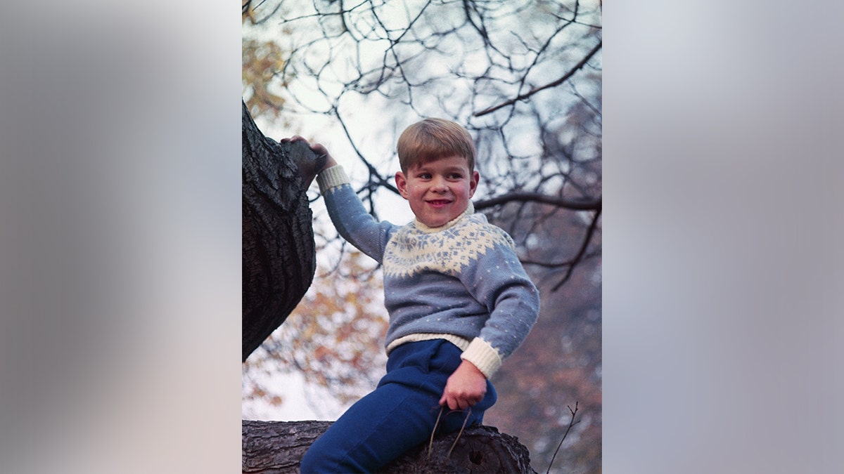 Prince Andrew giving the camera a cheeky smile as he climbs a tree in Buckingham Palace in 1966.