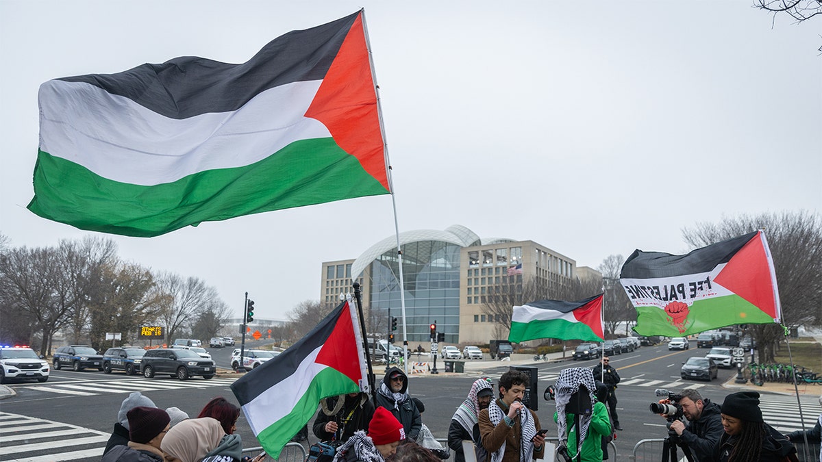 Pro-Palestinian protesters