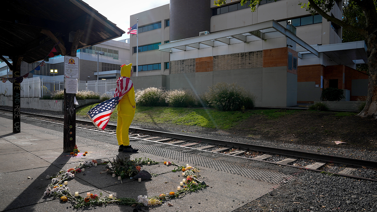 Protesters in chicken costumes