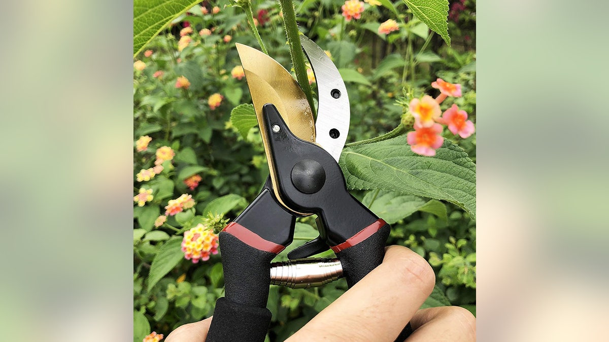 Prune bushes and small trees comfortably with these shears.