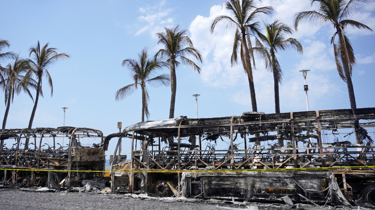Cruise ships are diverted from Puerto Vallarta, Mexico, amid deadly cartel violence 4 Burned-out buses in mexico chaos