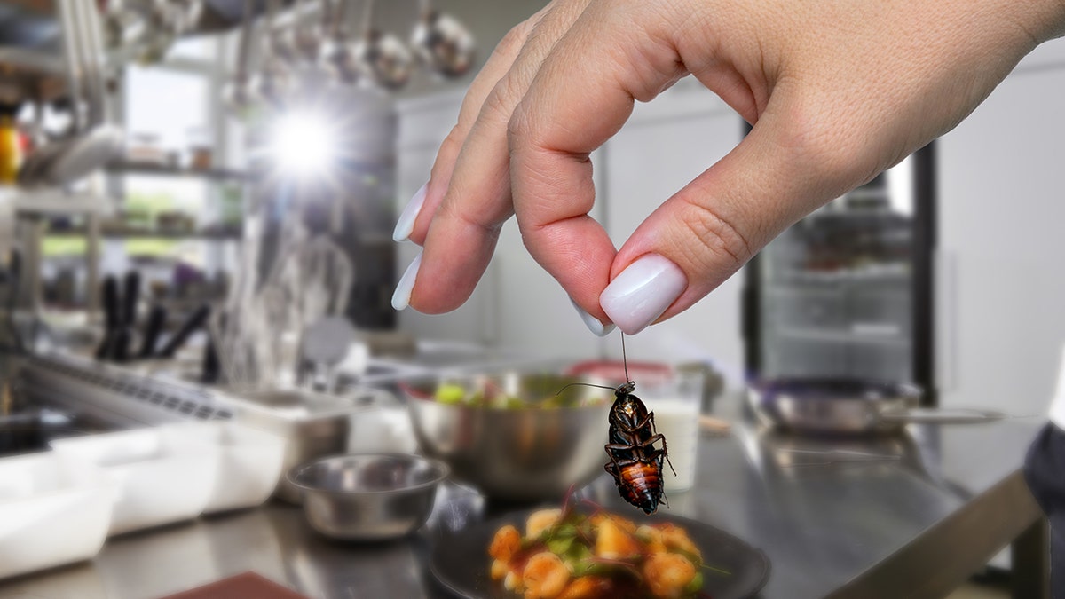 Woman's hand holding dead cockroach in front of dirty restaurant kitchen scene.