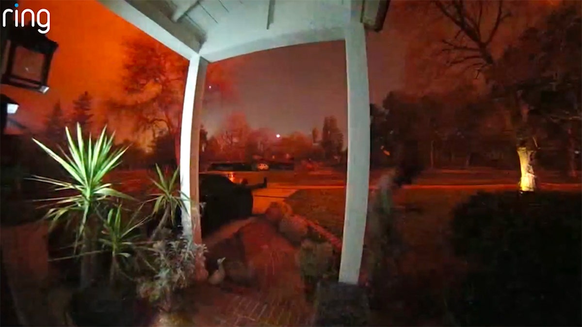 Ring camera shows the beforehand   gait   of a location  that is experiencing a fire.