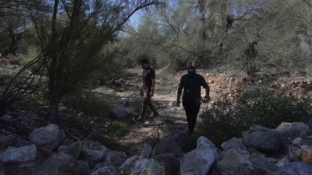 Investigators searching for Nancy Guthrie in the vegetation in Tucson.