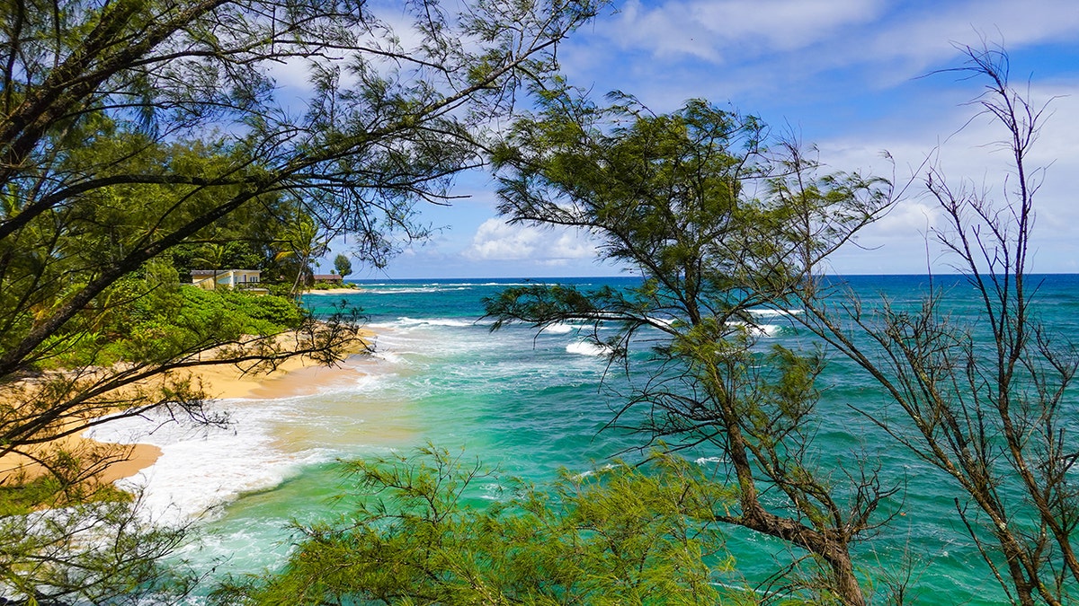 I passeggeri della Emerald Princess hanno visto un uomo in mare