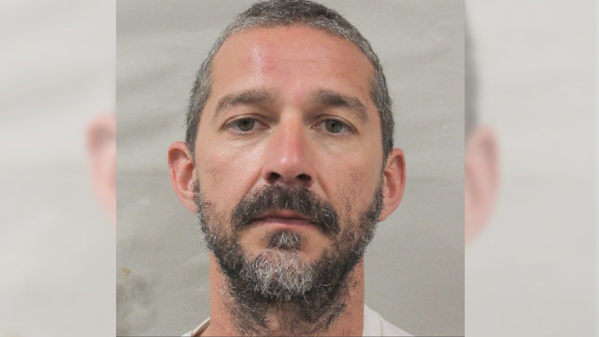 Shia LaBeouf booking photo