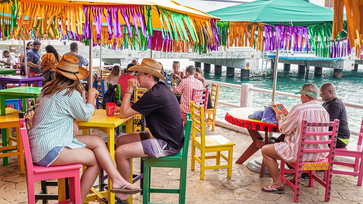 Cruise ships are diverted from Puerto Vallarta, Mexico, amid deadly cartel violence 3 Cozumel not on high alert like Puerto Vallarta