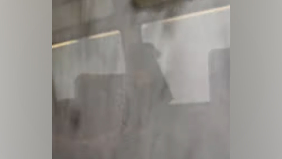 Una donna ha filmato la valanga che ha colpito il treno.