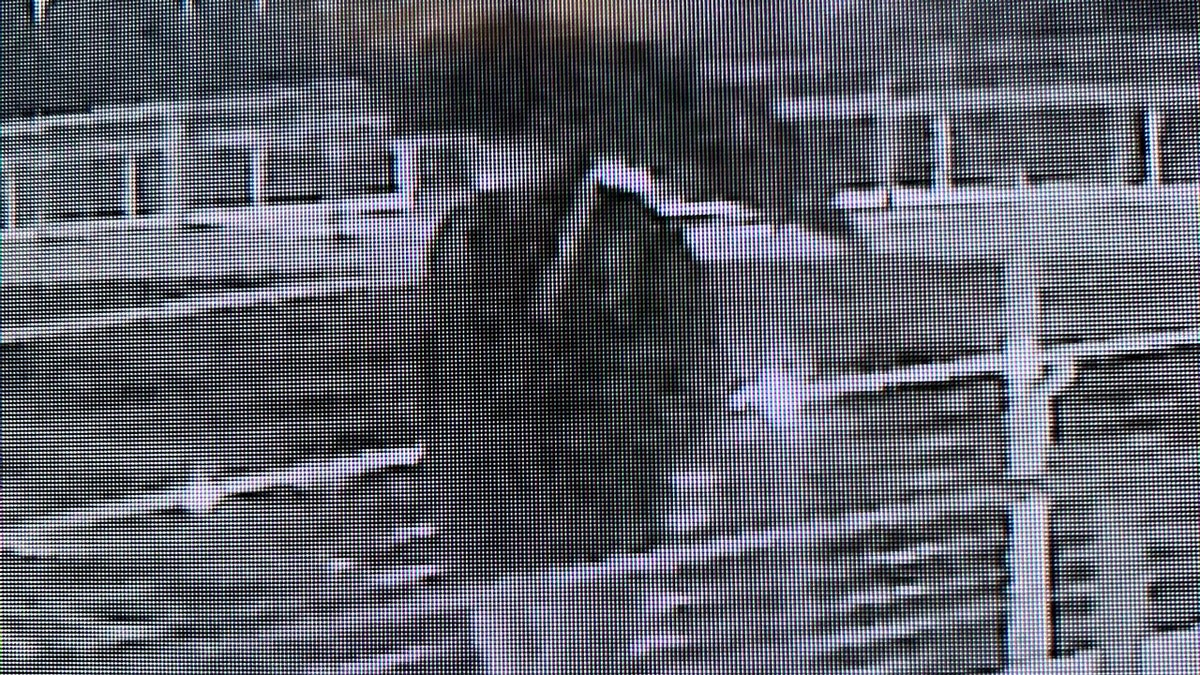 Grenell calls ice rink vandal a ‘terrorist’ as federal authorities hunt suspect in toxic attack