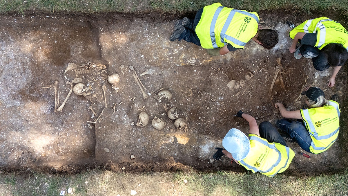 Aerial presumption    of excavators astatine  burial site