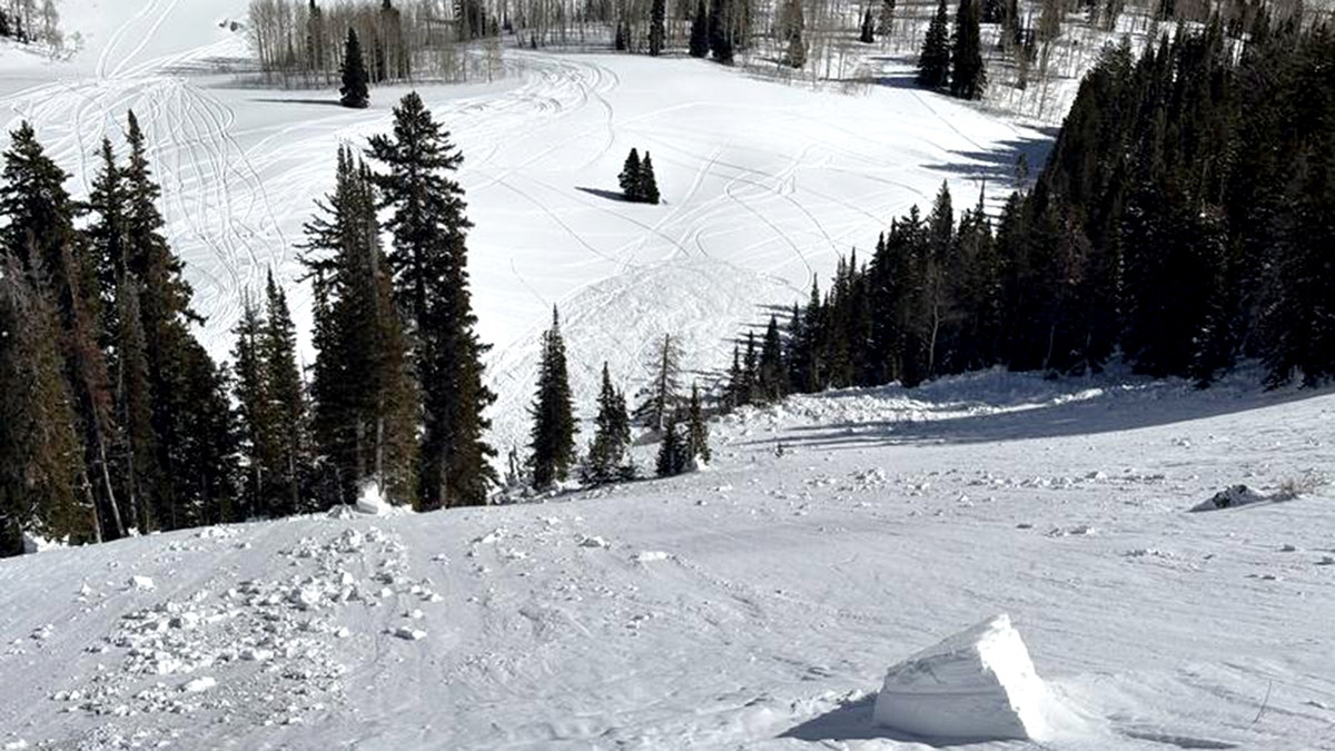snowy mountain after avalanche