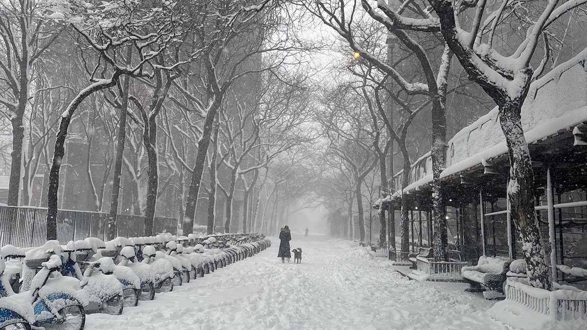 donna porta a spasso il suo cane nella neve