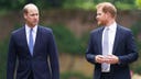 Prince William deliberately distanced himself from Prince Harry as he prepares for the throne: butler
