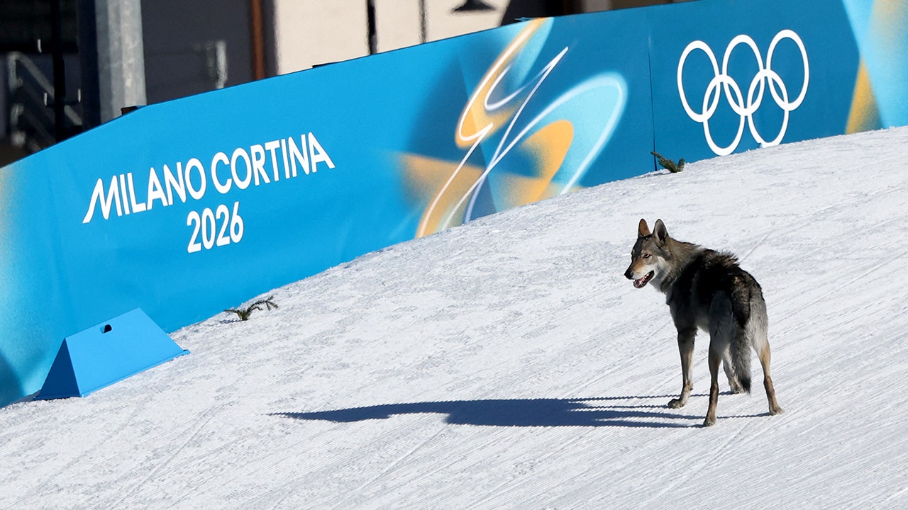 Dog crashes women's Olympic team sprint race, crosses finish line in  chaotic moment
