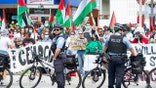 Anti-Israel protest, Chicago, Illinois.
