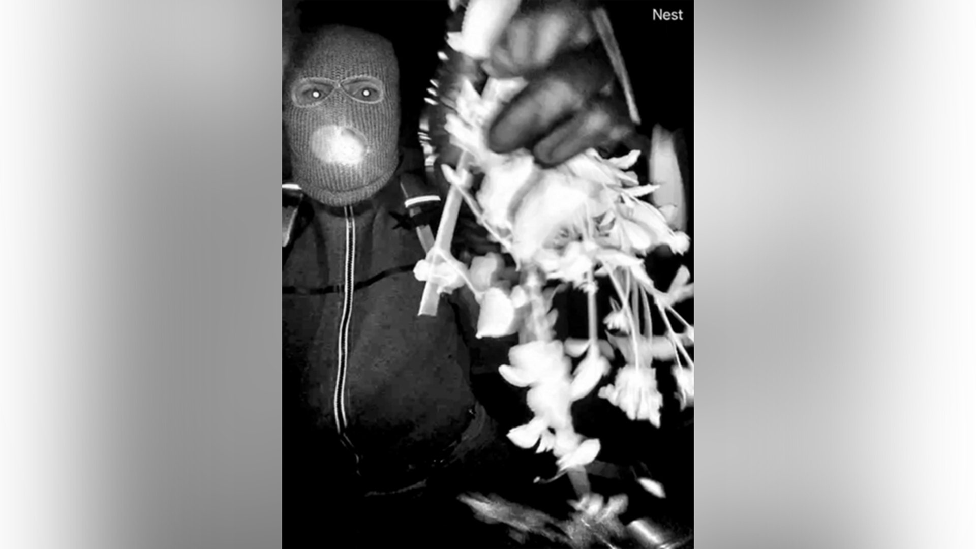 A view from a doorbell camera showing an armed individual outside the residence of Nancy Guthrie in Tucson, Arizona